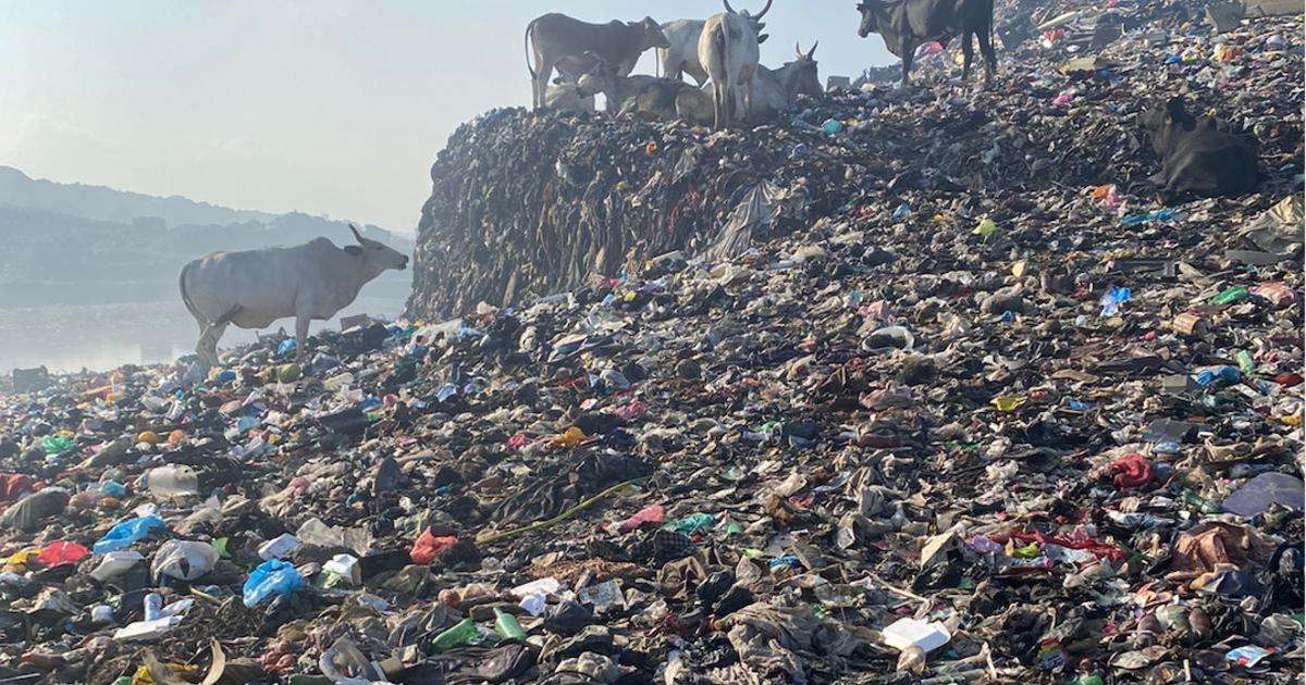 Photo Credits to CBS News.
An image of a landfill covered in clothing from fast fashion brands in Ghana.