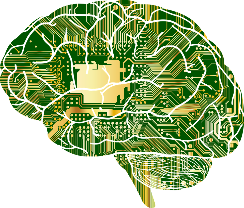Should the Government Regulate AI?